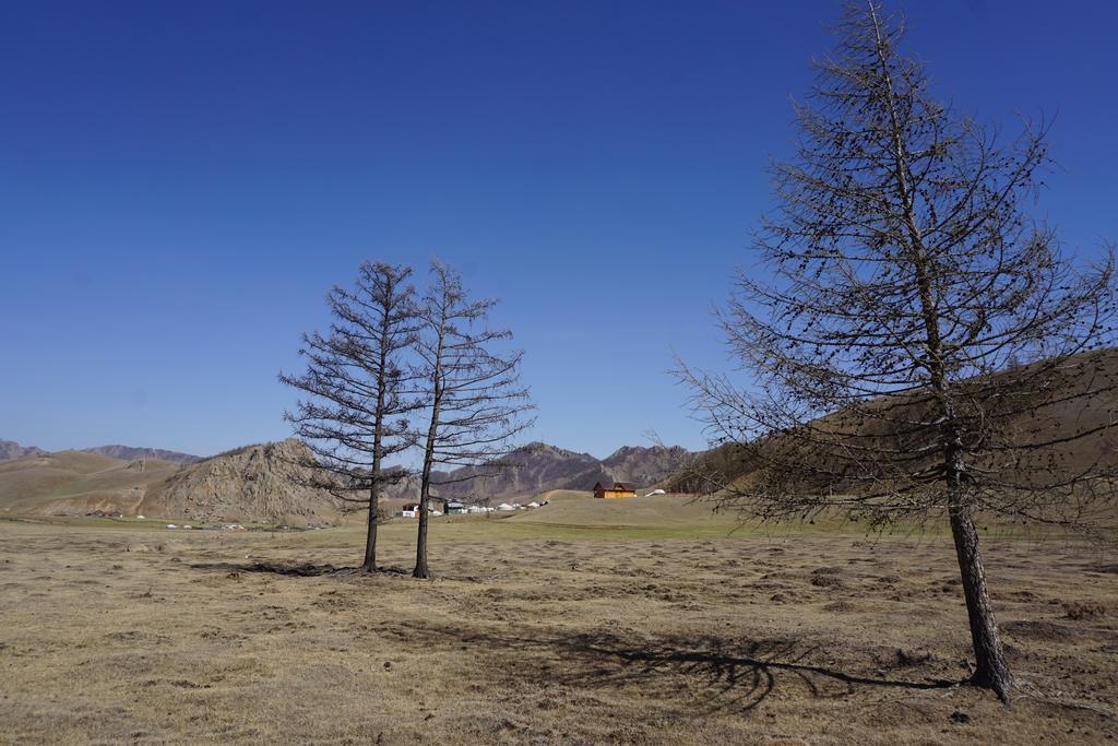 My Mongolia Eco Ger Camp Hotel Nalayh Екстериор снимка
